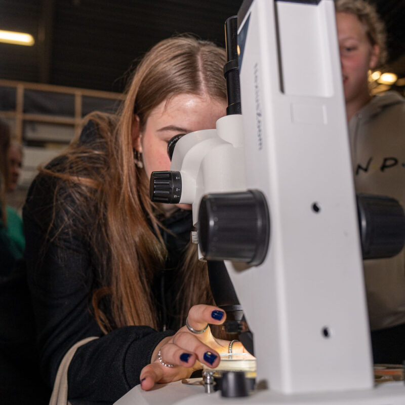 Onderzoek microscoop - Open dag Breda