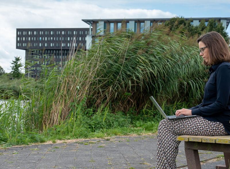 Team Waterbouw & Waterveiligheid